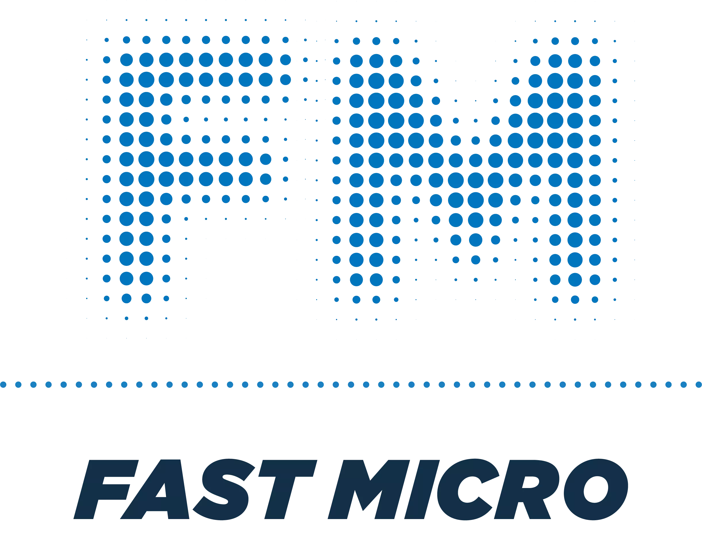 FastMicro